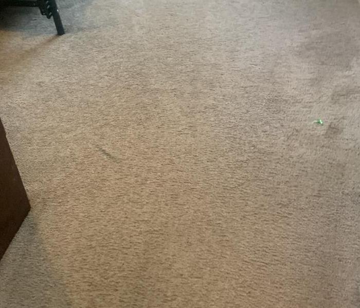 Clean Carpet at a home in Newberry, SC 