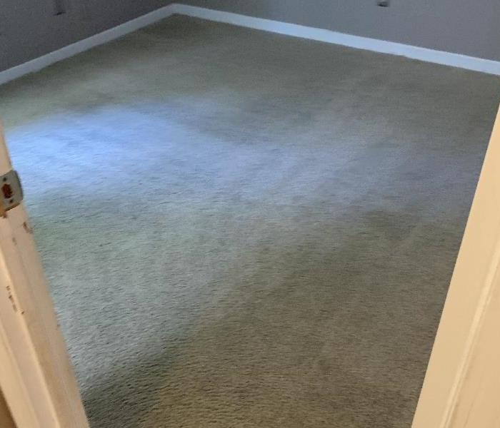 Clean carpet in a rental home after a professional cleaning