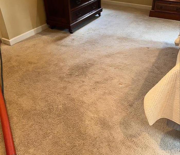Dirty Carpet in a bedroom