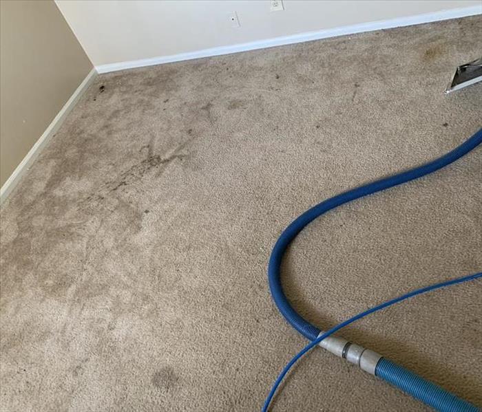 Carpet condition before the cleaning began in Laurens, SC
