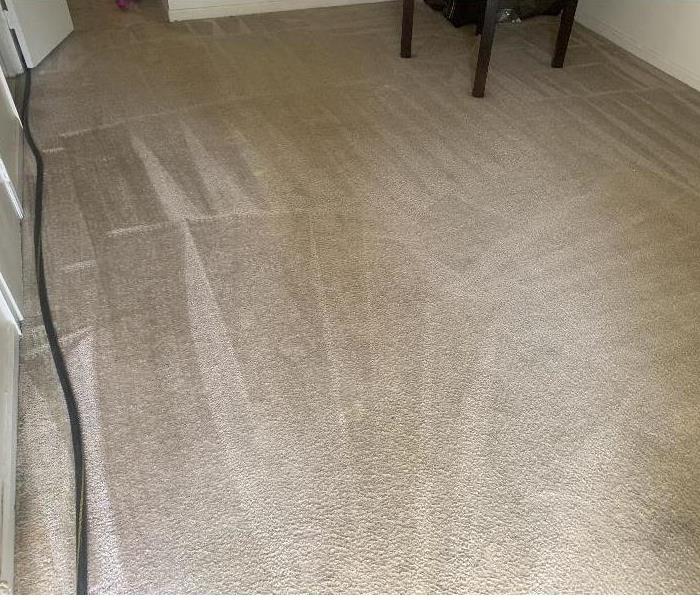 Carpet after a SERVPRO cleaning in Clinton, SC 