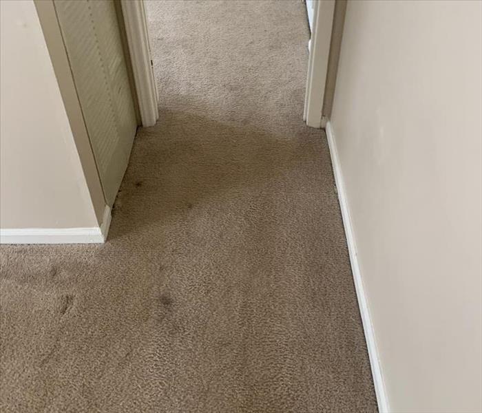 Dirty Carpet in a hallway at an apartment in Laurens, SC 