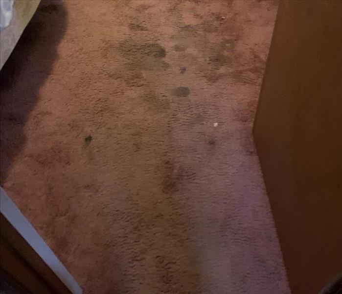 Dirty Carpet in Laurens SC 