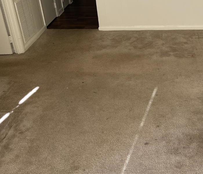 Dirty Carpet in Newberry, SC