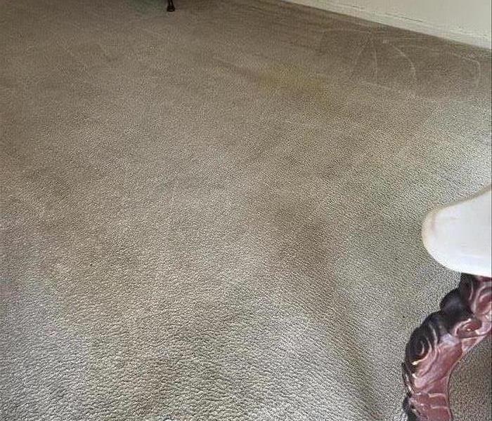 Carpet cleaning after a SERVPRO cleaning 