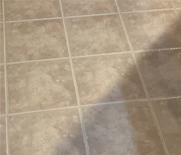 Clean grout after SERVPRO cleaned the flooring in Clinton SC 