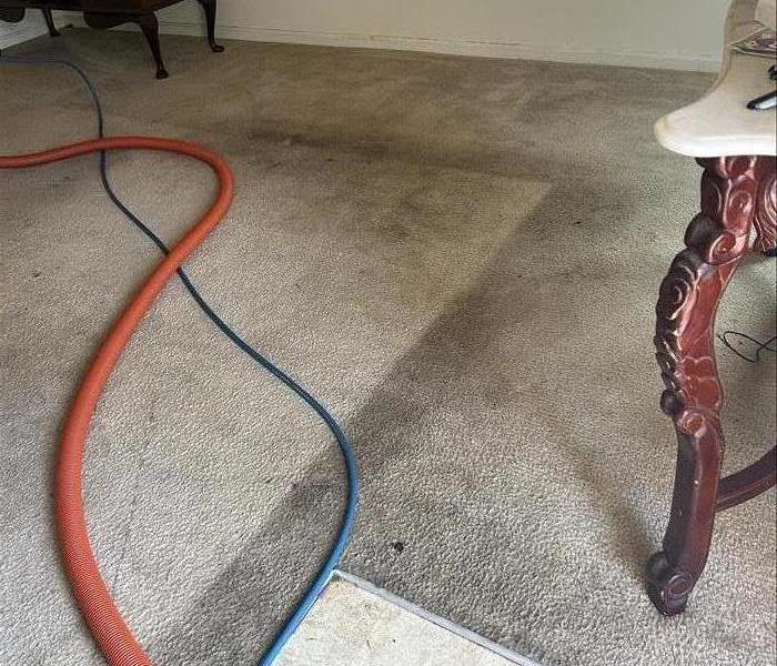 Dirty carpet in the Living room 