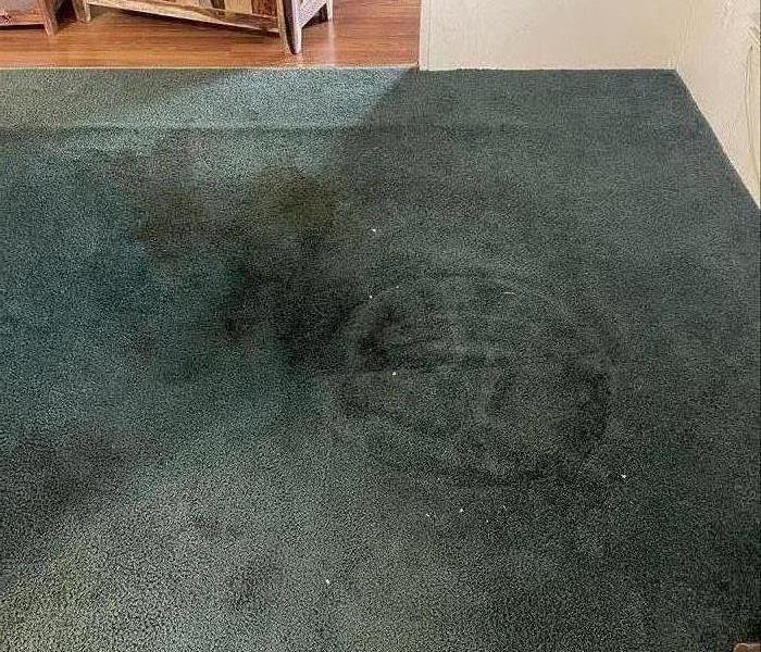 Carpet stains before cleaning at a home in Waterloo, SC 