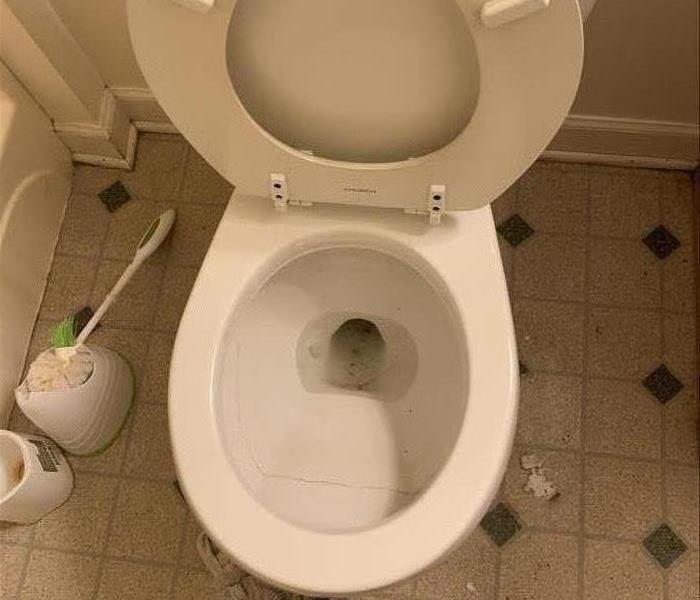 A Clean toliet after a professional cleaning 