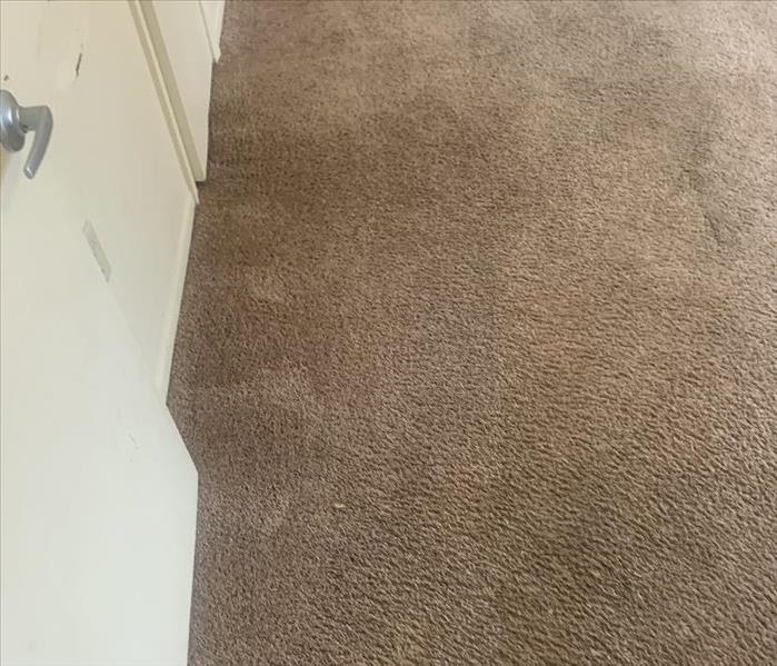 SERVPRO Clean carpet of the same room in an apartment complex in Newberry, SC