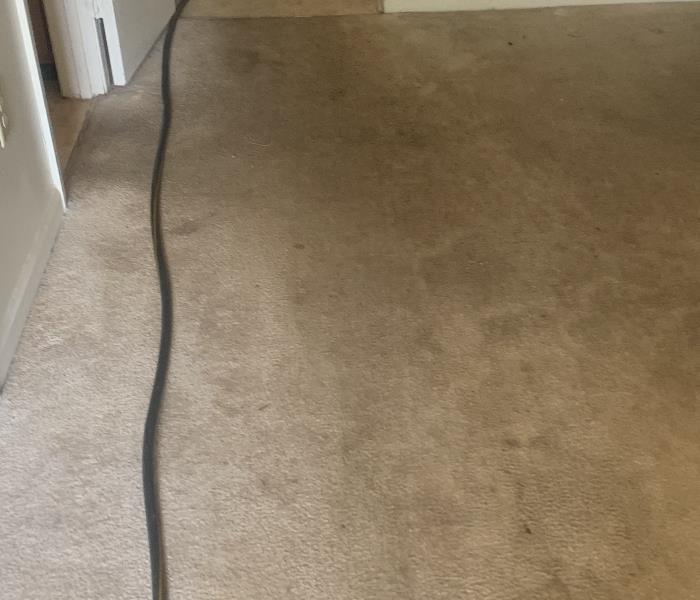 Dirty Carpet at a home in Clinton, SC 
