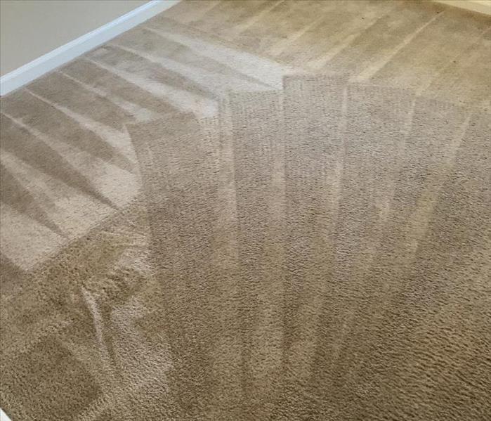 Certified SERVPRO clean carpet at a home in Clinton, SC 