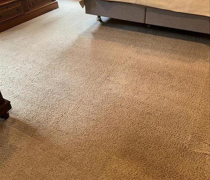 Clean Carpet in bedroom 