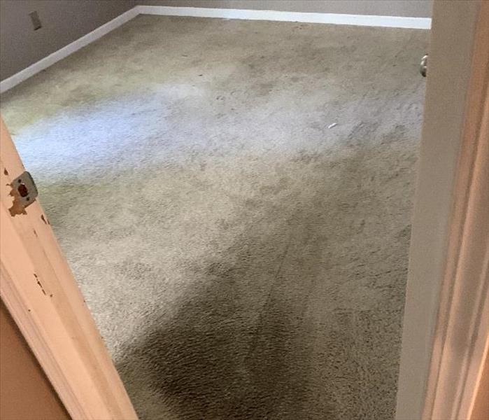 Carpet in a renatl home before cleaning