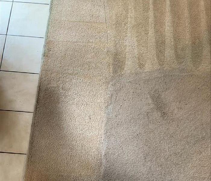 SERVPRO showing the difference during  this carpet cleaning 