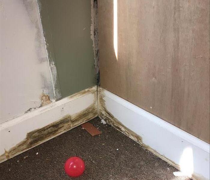 Water damage and mold from a leaking hot water heater in a utility closet at a home in Newberry, SC