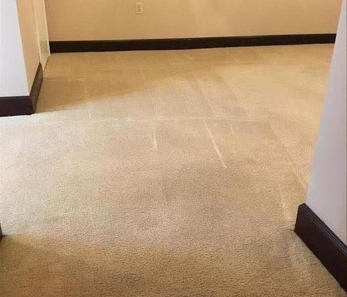 Clean Carpet in Newberry, SC