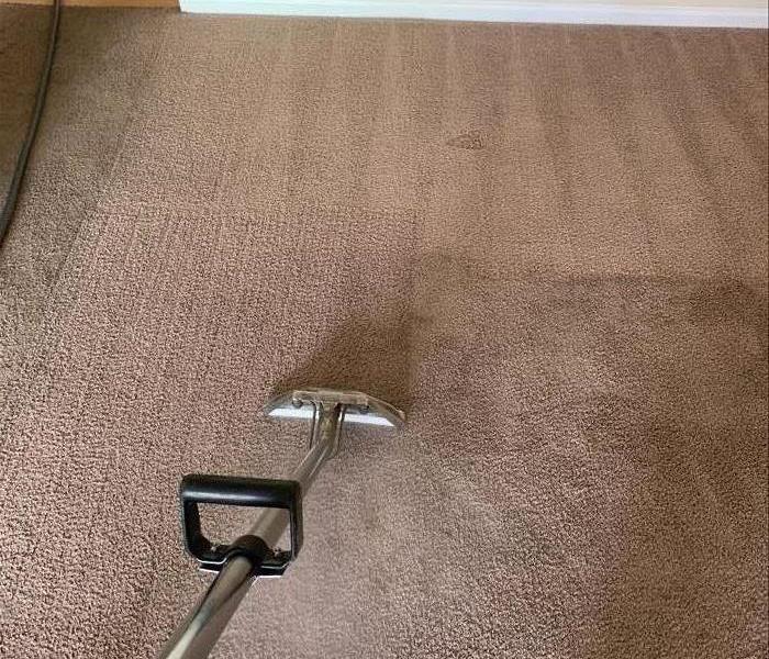 Carpet cleaning in progress at an apartment community in Laurens, SC