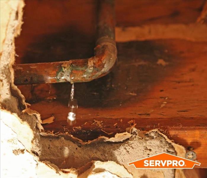 Busted pipe under a cabinet due to freezing 