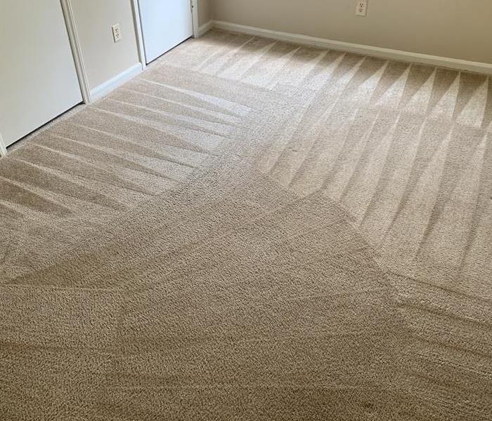 Carpet Cleaning results at a home in Laurens, SC 