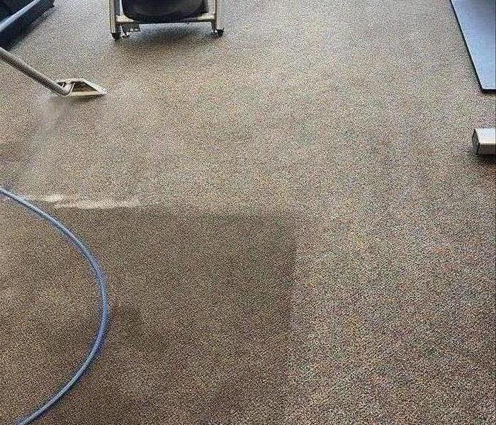 Carpet Cleaning transformation in Clinton, SC 