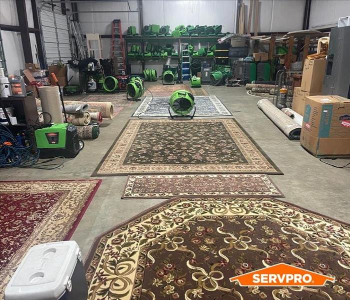 Warehouse full of area rugs cleaned 