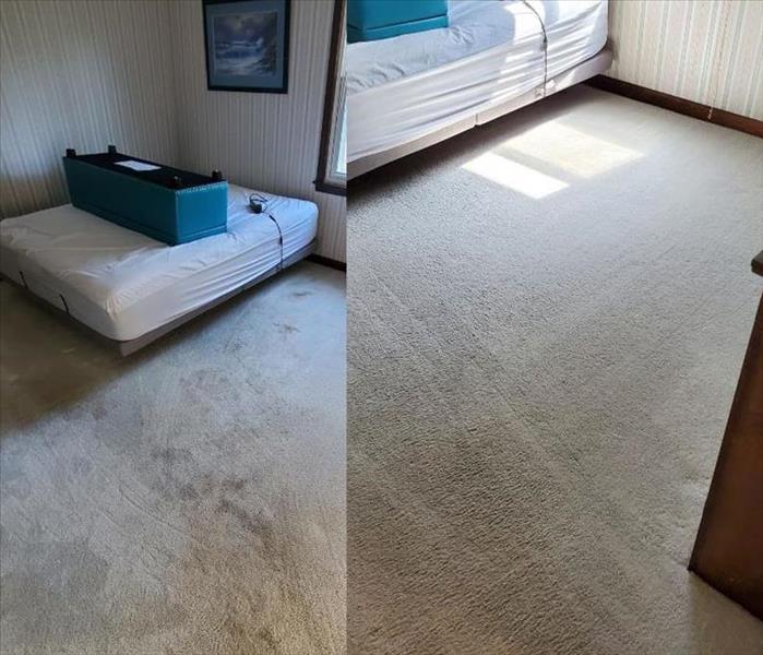 Carpet Cleaning before and after