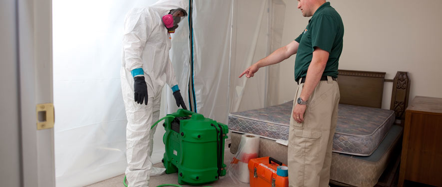 Newberry, SC mold removal process